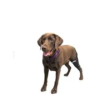 WALKABOUT Camouflage Knee Brace for Dogs - ACL Support