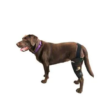 WALKABOUT Camouflage Knee Brace for Dogs - ACL Support