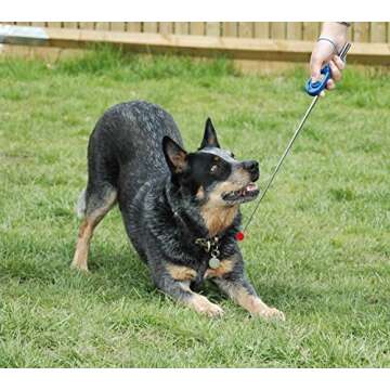 Company of Animals Target Stick for Dog Training, Perfect Dog Accessory for Clicker & Agility Training, Ideal for Puppy Training, Teaching Commands & Tricks, Easy to Use, Adjustable Length 15-70cm
