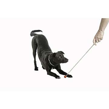 Company of Animals Target Stick for Dog Training, Perfect Dog Accessory for Clicker & Agility Training, Ideal for Puppy Training, Teaching Commands & Tricks, Easy to Use, Adjustable Length 15-70cm