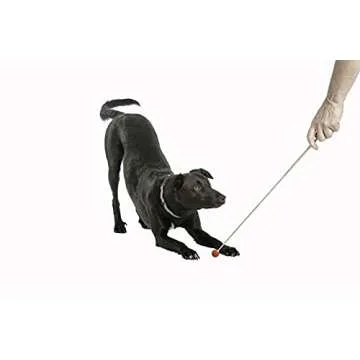 Company of Animals Target Stick for Dog Training, Perfect Dog Accessory for Clicker & Agility Training, Ideal for Puppy Training, Teaching Commands & Tricks, Easy to Use, Adjustable Length 15-70cm