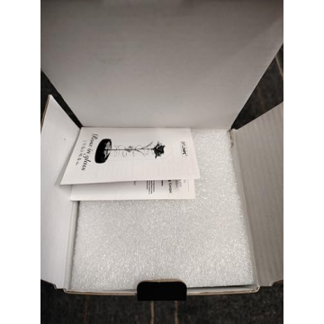 Otlonpe Glass Rose Flower - Christmas, Birthday Gifts for Women Mom Wife Girlfriend Her - Handmade Led Light Up Roses Flowers Womens Gifts for Christmas, Anniversary, Wedding, Valentines, Mothers Day