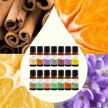Plant Therapy Top 14 Singles Set Lavender, Eucalyptus, Peppermint, Orange Sweet, Lemon & More 100% Pure, Undiluted, Natural Aromatherapy for Topical Use & Diffusion, Therapeutic Grade 10 mL (1/3 oz)