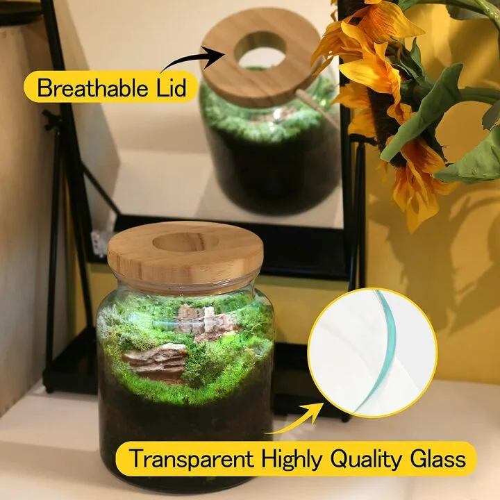 LECANI Plant Propagation Station with LED Light