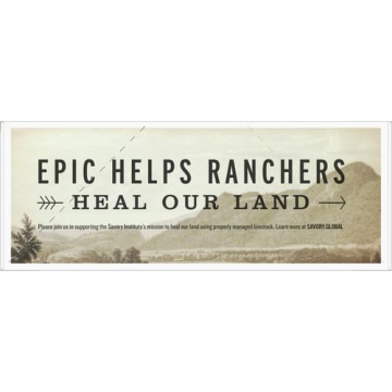 EPIC Venison Sea Salt & Pepper Bars - 12ct, Keto Friendly