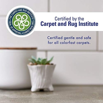 Rocco & Roxie Stain & Odor Eliminator - Pet Odor Solution