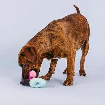 Fringe Studio Plush Dog Toy Set with Treat Pockets