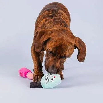 Fringe Studio Plush Dog Toy Set with Treat Pockets