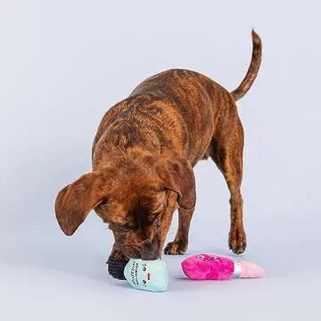 Fringe Studio Plush Dog Toy Set with Treat Pockets