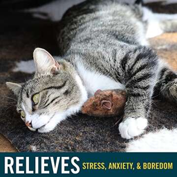 OurPets Play-N-Squeak Cat Toys with Real Mouse Sound