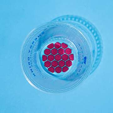 Smart Cups Sugar Free Energy Drinks (Berry Blast) - 10 Pack - Energy Drink Cups Just Add Water - Vitamin B Energy Drinks Sugar Free