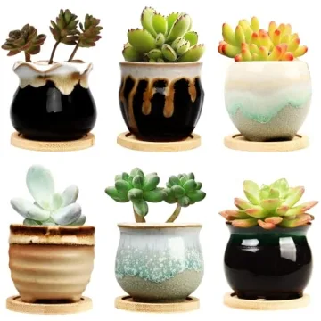 Brajttt 2.5 Inch Succulent Pot Set - Unique Mini Ceramic Planters with Drainage