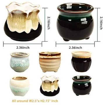 Brajttt Succulent Pot Set with Drainage Holes - Mini Planters