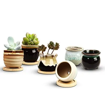 Brajttt Succulent Pot Set with Drainage Holes - Mini Planters