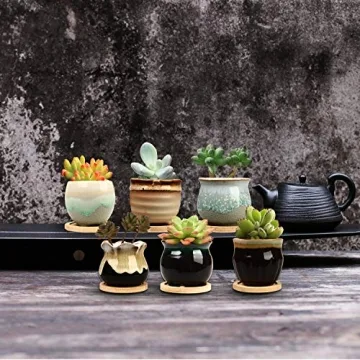Brajttt Succulent Pot Set with Drainage Holes - Mini Planters
