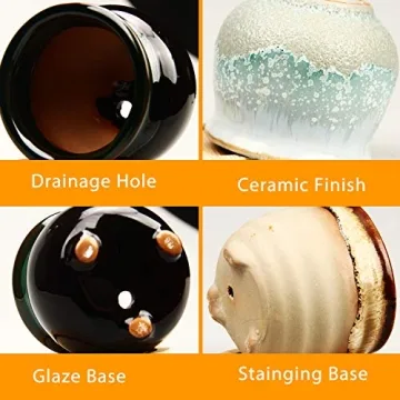Brajttt Succulent Pot Set with Drainage Holes - Mini Planters