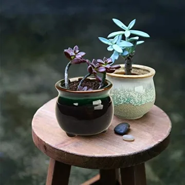 Brajttt Succulent Pot Set with Drainage Holes - Mini Planters