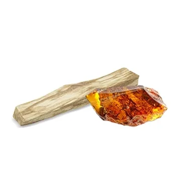 Derek Lam 10 Crosby 2AM Kiss Woody Amber Perfume