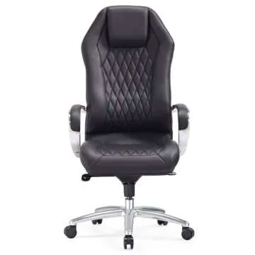 Zuri Furniture Modern Ergonomic Sterling Genuine Leather Executive Chair with Aluminum Base- Black