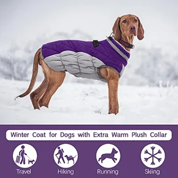 FUAMEY Waterproof Dog Winter Coat with Built-in Harness
