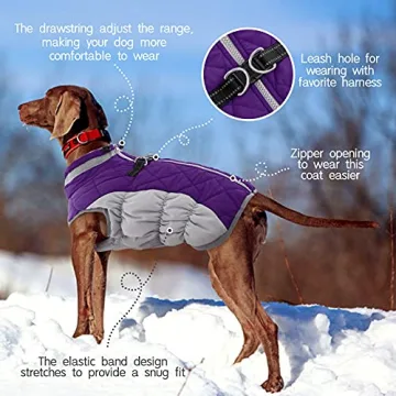 FUAMEY Waterproof Dog Winter Coat with Built-in Harness