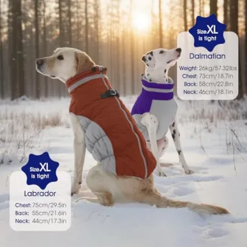 FUAMEY Waterproof Dog Winter Coat with Built-in Harness