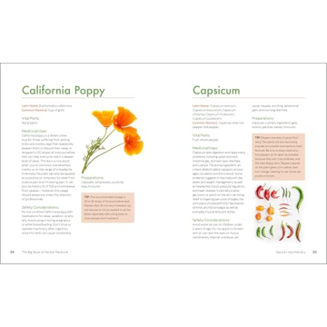 The Big Book of Herbal Medicine: 300 Natural Remedies for Health and Wellness