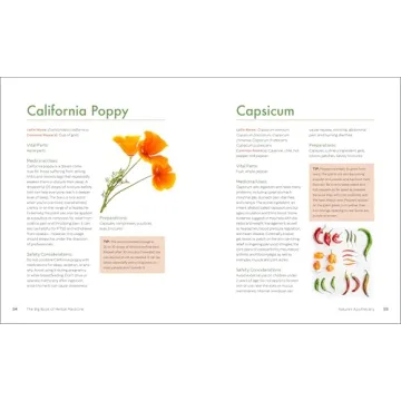 The Big Book of Herbal Medicine: 300 Natural Remedies for Health and Wellness