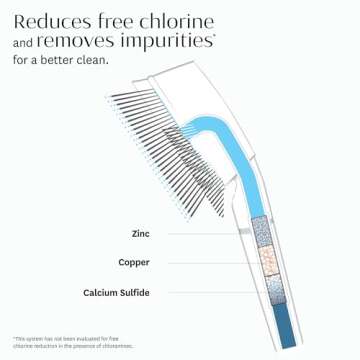 T3 Source Hand-Held Showerhead | Adjustable Hand Held Chrome Shower Head with Chlorine Filter | Mineral Filter Reduces Free Chlorine and Hydrogen Sulfide