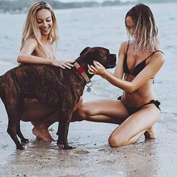 SWINCHO AirTag Dog Collar Holder 2 Pack for Pets