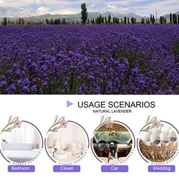 Fragrant Lavender Buds for Crafts & Weddings - 1/2 Pound
