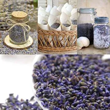 Fragrant Lavender Buds for Crafts & Weddings - 1/2 Pound