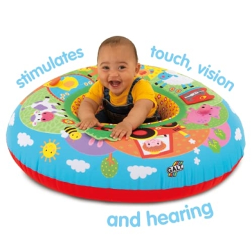 Galt Toys Playnest - Farm Baby Activity Center for Babies