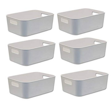 Besli Small Storage Bins for Home Organization - Pack of 6