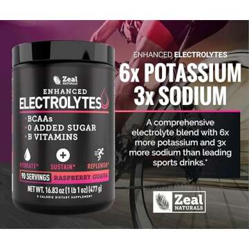 Zeal Naturals Electrolyte Powder Recovery Drink (90 Servings | Raspberry Guava) w/ 0 Sugar +BCAAs +B-Vitamins Electrolyte Supplement w Potassium Zinc & Magnesium for Hydration - Keto Electrolytes