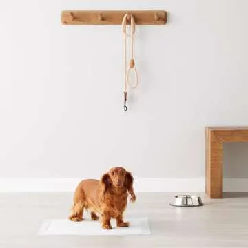 Amazon Basics Pee Pads for Potty Training Dogs and Puppies