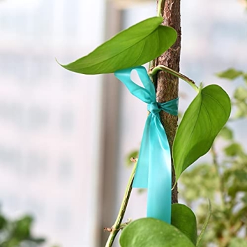 Reliable TELENT OUTDOORS Stretch Tie Tape for All Plants