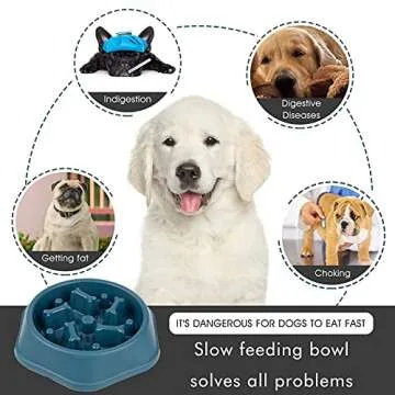 DPOEGTS Slow Feeder Dog Bowl, Puzzle Dog Food Bowl Anti-Gulping Interactive Dog Bowl and Water Dog Bowl for Small/Medium Sized Dogs (Blue, Bone)
