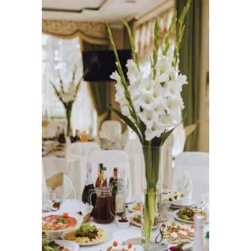 4E's Novelty 16 Inch Tall Cylinder Glass Vase, 3.5" Wide - Clear Glass Vase for Centerpiece, Floor V...