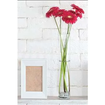 4E's Novelty 16 Inch Tall Cylinder Glass Vase, 3.5" Wide - Clear Glass Vase for Centerpiece, Floor Vase, Flowers, Candle Holder, Wedding Table Decor