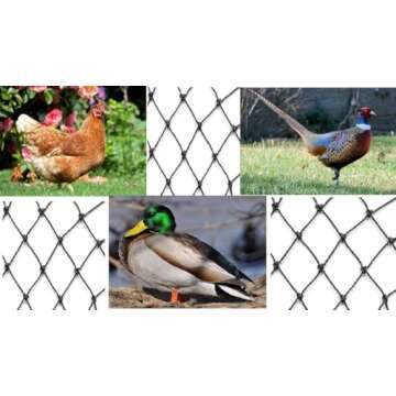 Durable 2 Inch Poultry Netting for Aviaries and Gardens