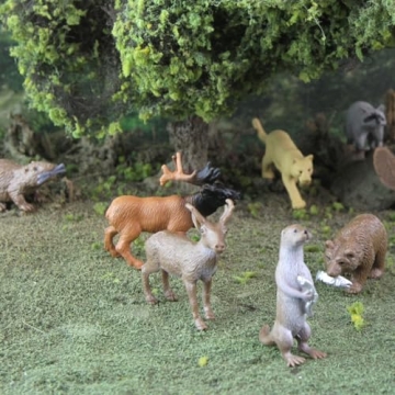 Safari Ltd North American Wildlife TOOB Fun Educational Toy