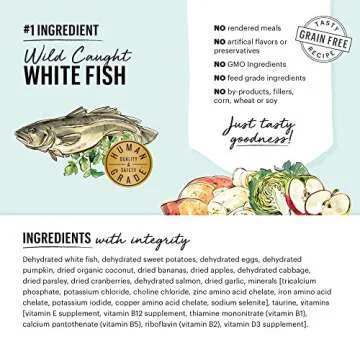 Human Grade Dehydrated Dog Food - The Honest Kitchen Fish 10 lb