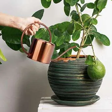 KIBAGA Decorative Copper Colored 40oz Watering Can - Easy Pour Gooseneck Spout for Fast and Easy Indoor Plant Watering