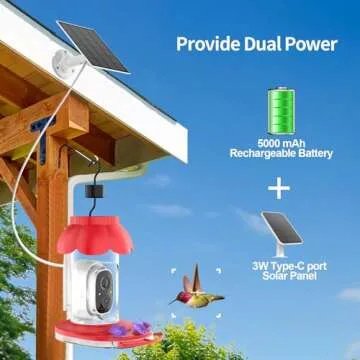 Innovative Hummingbird Feeder with Camera and AI Recognition