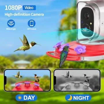Innovative Hummingbird Feeder with Camera and AI Recognition