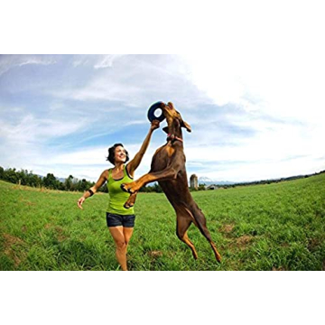 Chuckit Zipflight Amphibious Flying Ring 8" - 2 Pack