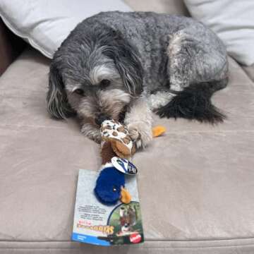 SPOT Skinneeez Plus Duck - Stuffing Free Dog Toy with Two Piece Rubber Body and Two Squeakers, Fun to Bite, Stuffingless Design is Great for Moderate Chewers, Tug Toy for Puppies & Dogs - 15in