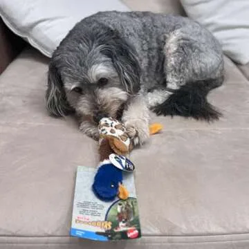 SPOT Skinneeez Plus Duck - Stuffing Free Dog Toy with Two Piece Rubber Body and Two Squeakers, Fun to Bite, Stuffingless Design is Great for Moderate Chewers, Tug Toy for Puppies & Dogs - 15in