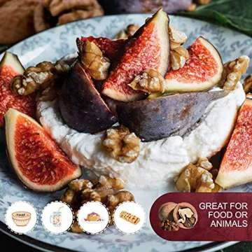 Raw California Walnuts in Shell - 4 lbs Premium Quality